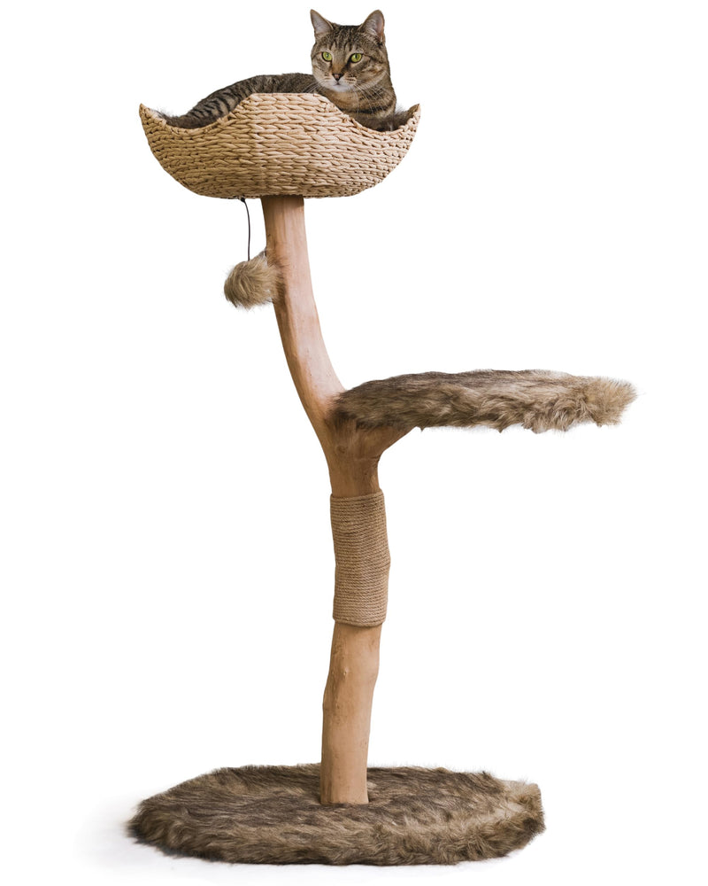 Wooden Cat Tree Tower Modern Single Branch Cat Condo Wood Cat Tree Cat Climbing Furniture for Cat Cat Lover Gift Cat FurnitureCat Gift by MAU LIFESTYLE (Brown)