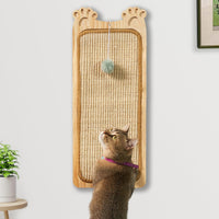 Cat Toys & Accessories